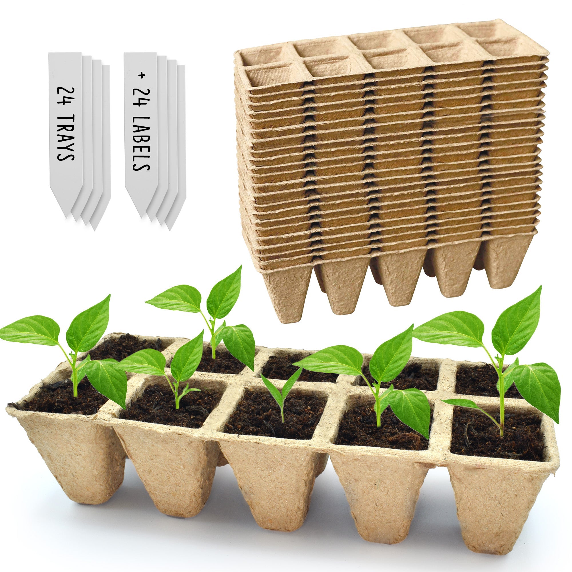 Biodegradable Seedling Starter Trays