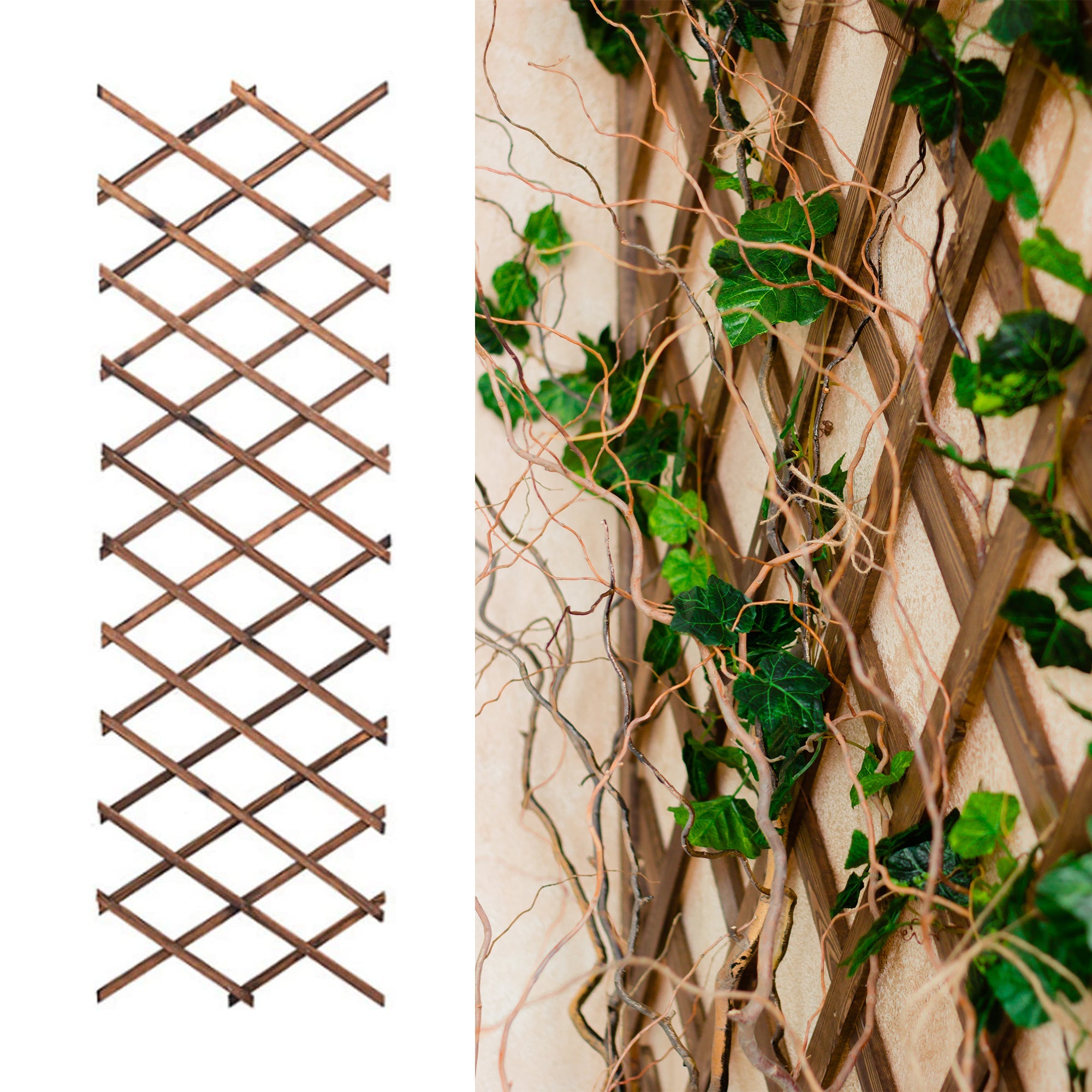Garden Trellis for Climbing Plant