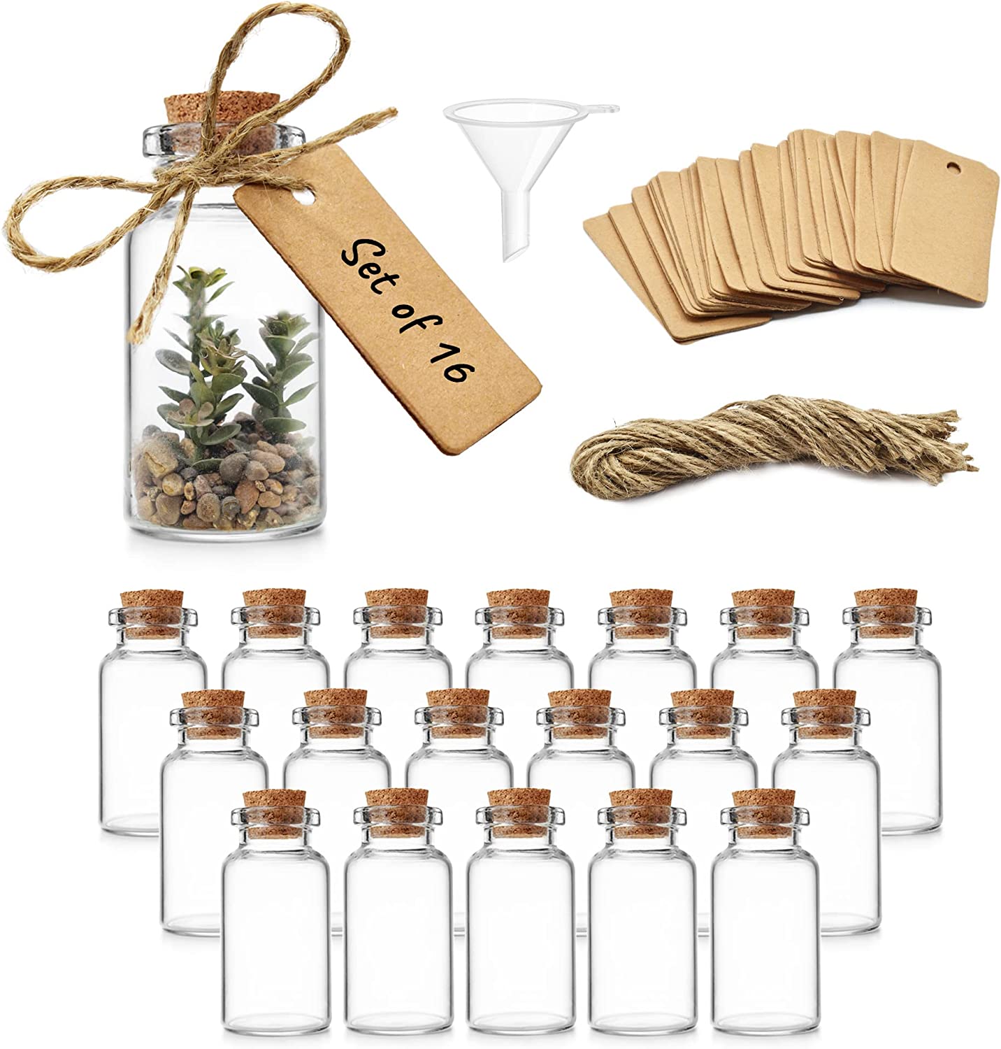 Glass Bottles 16Pack Main Image