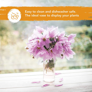 Glass Vase in Table Background