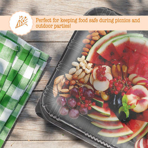 Sandwich Trays Lifestyle Image with Fruits