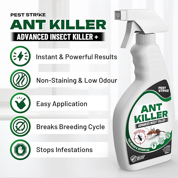 Insect Killer Spray for Indoor and Outdoor Use - 500ml Rapid-Action, Lasting Protection & Stain-Free Formula - Safe Home Pest Solution