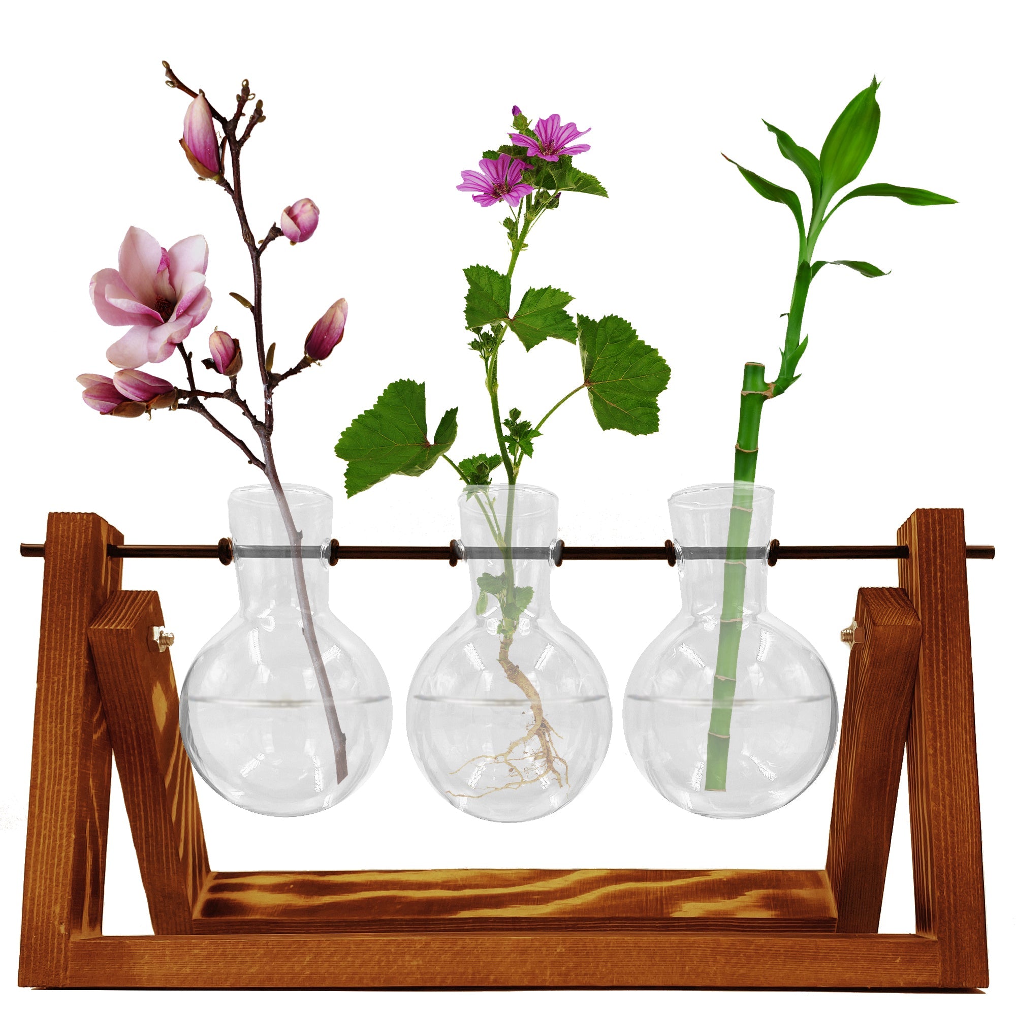 Bulb Vase Glass Planters