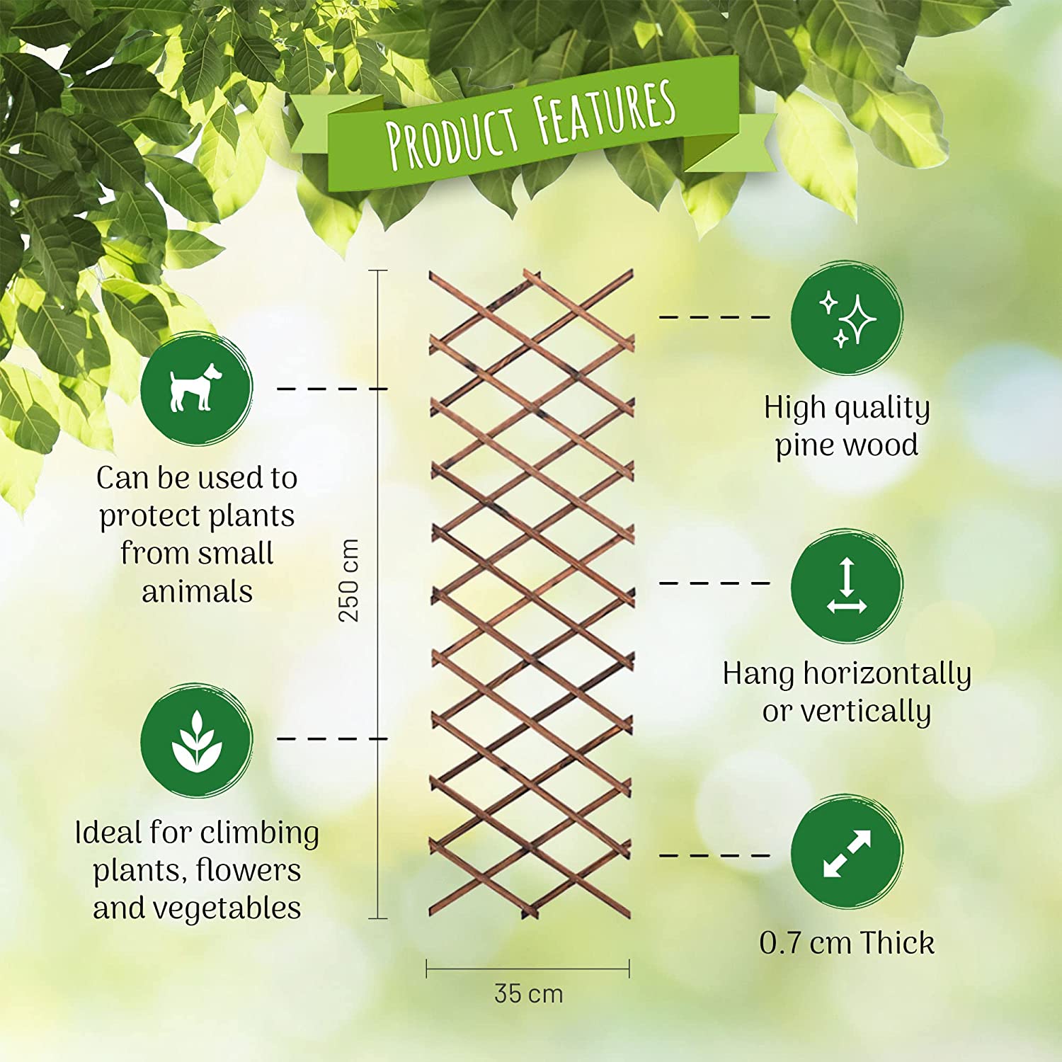 Garden Trellis for Climbing Plant