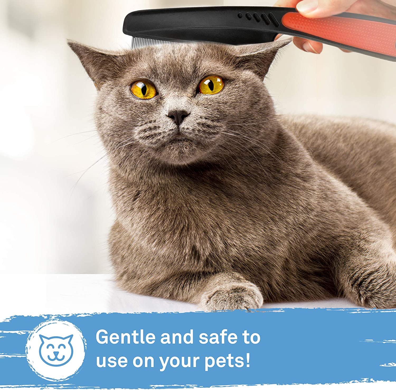 Flea Comb Use in other Cat