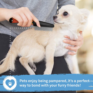 Flea Comb use in Dog 