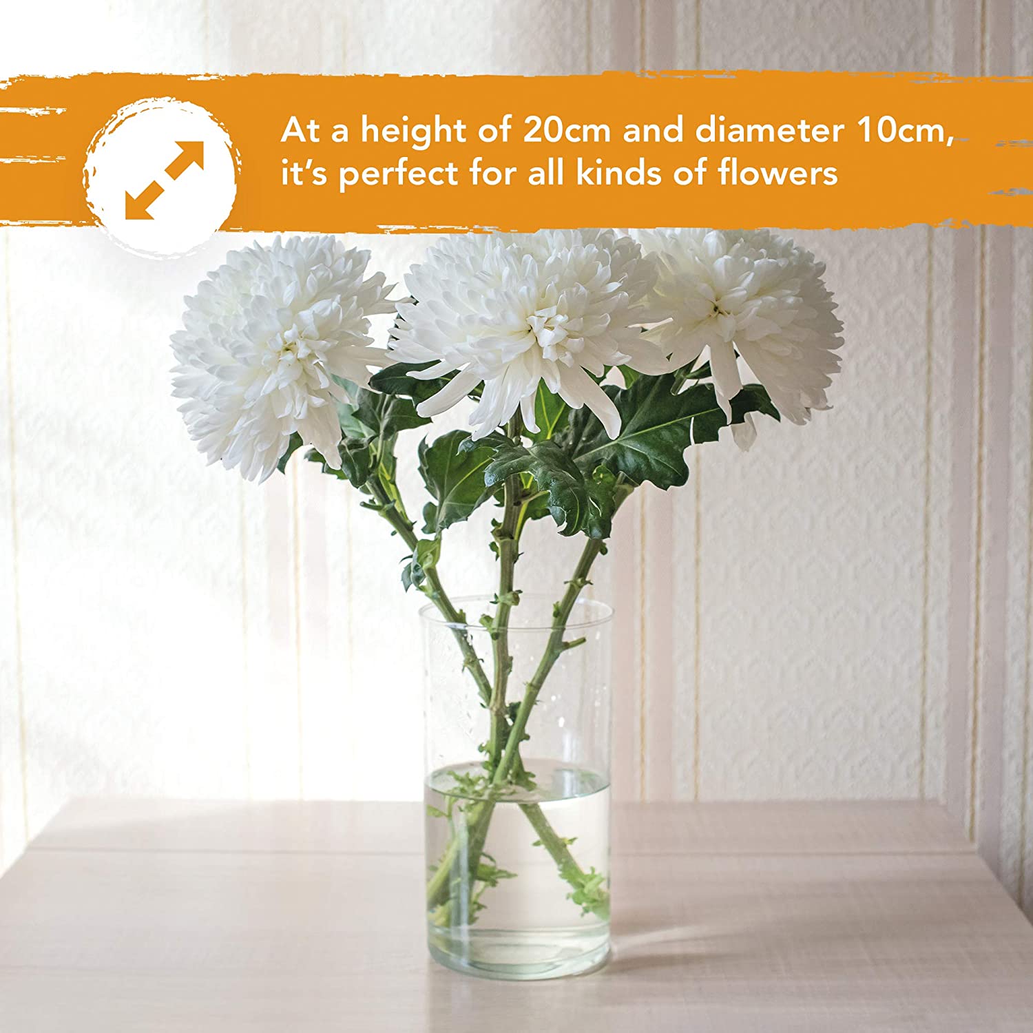 Glass Vase White Background